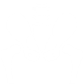 Hip