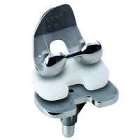 LDK Cementless Femoral Joint