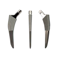 LDK 3D Printing Tumor Arthroplasty