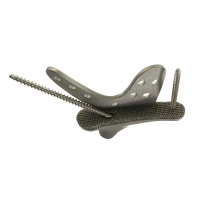 LDK Cementless Femoral Joint