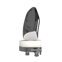 LDK Cementless Femoral Joint