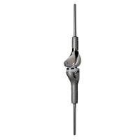 LDK Cementless Femoral Joint