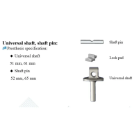 LDK Cementless Femoral Joint