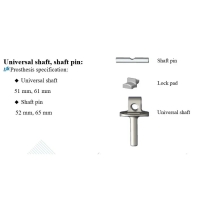 LDK Cementless Femoral Joint