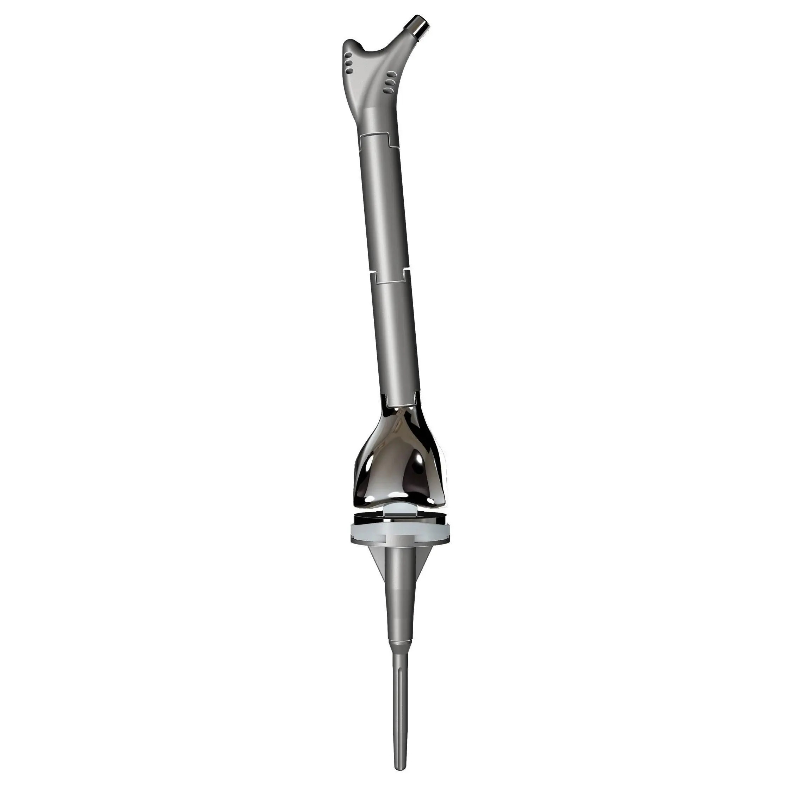 LDK Total Femur Tumor Prosthesis